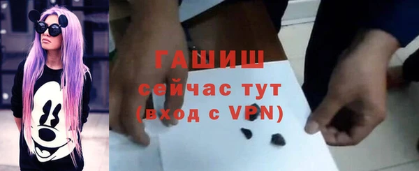 хмурый Аркадак