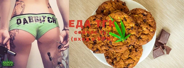 хмурый Аркадак