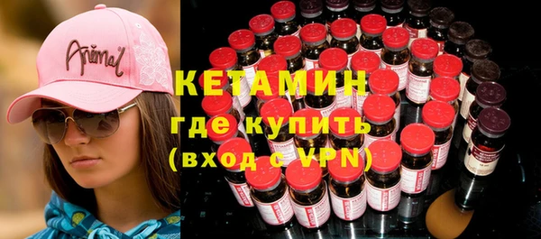 хмурый Аркадак