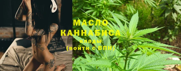 хмурый Аркадак