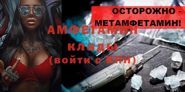 хмурый Аркадак
