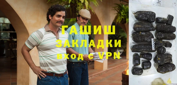 хмурый Аркадак